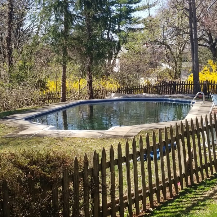 Lovely day Lovely Pool