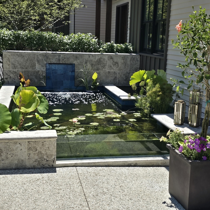 Glass Panel Koi Pond