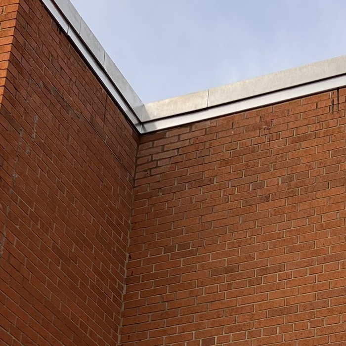 Wasp Hive Removal