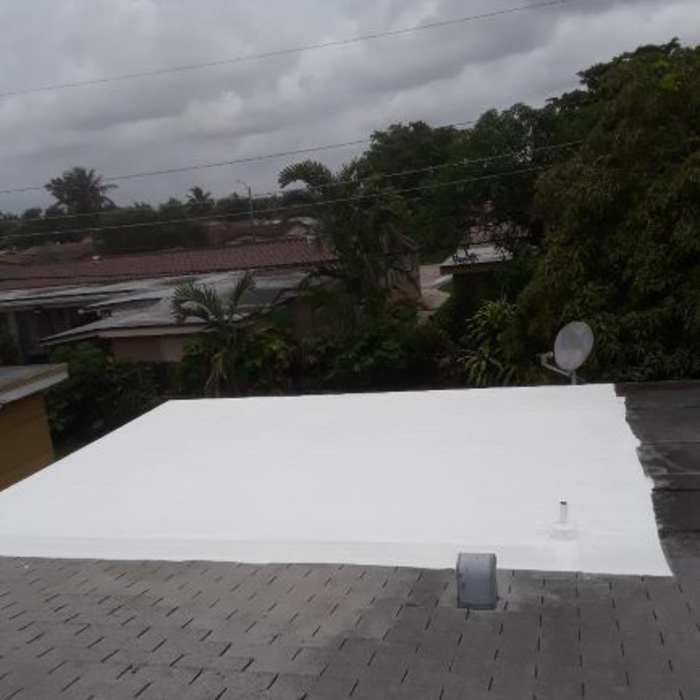 Completed Flat Roof work