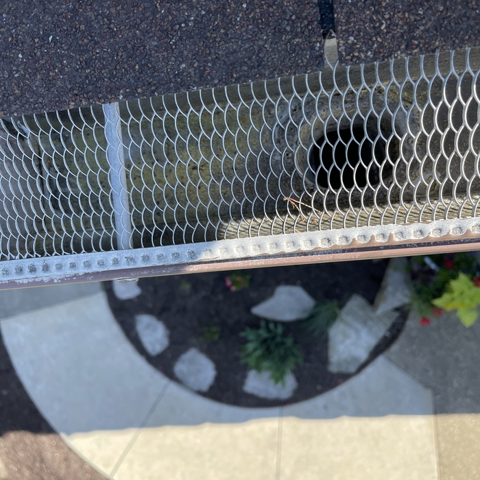 Gutter Cleaning
