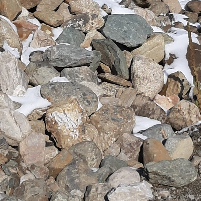 Large Decorative Rock