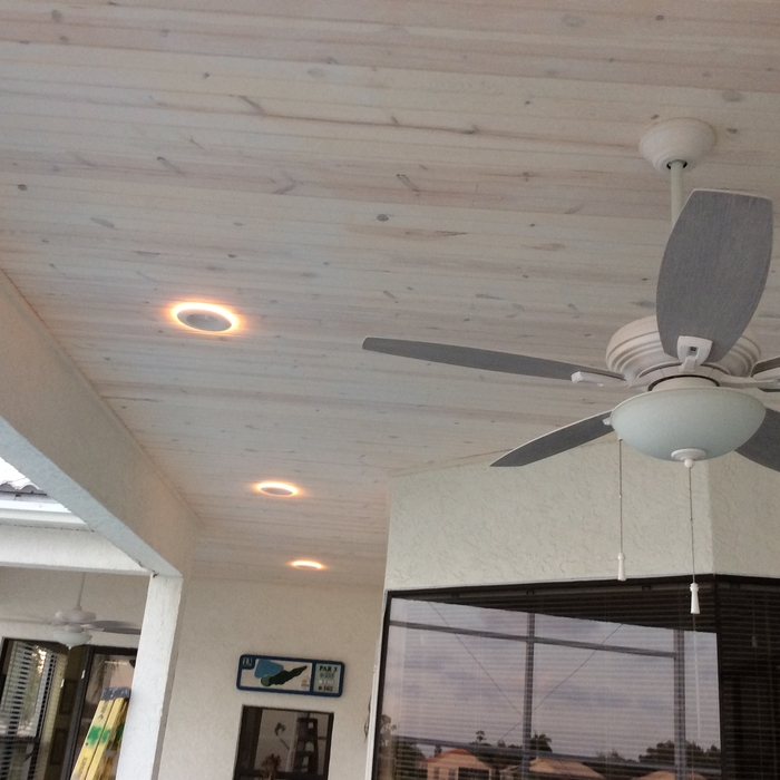Lanai Ceiling