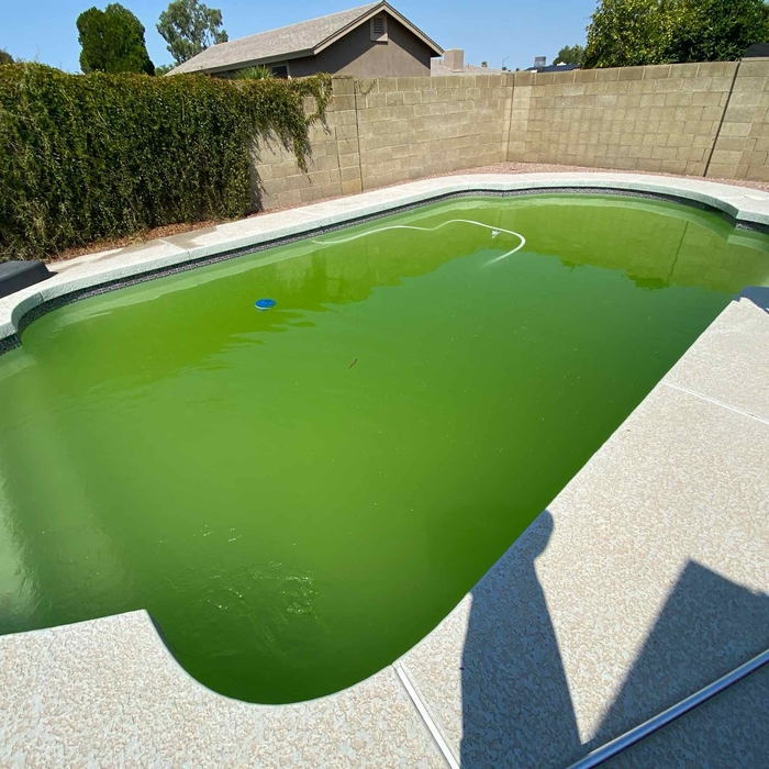 Green to Clean service