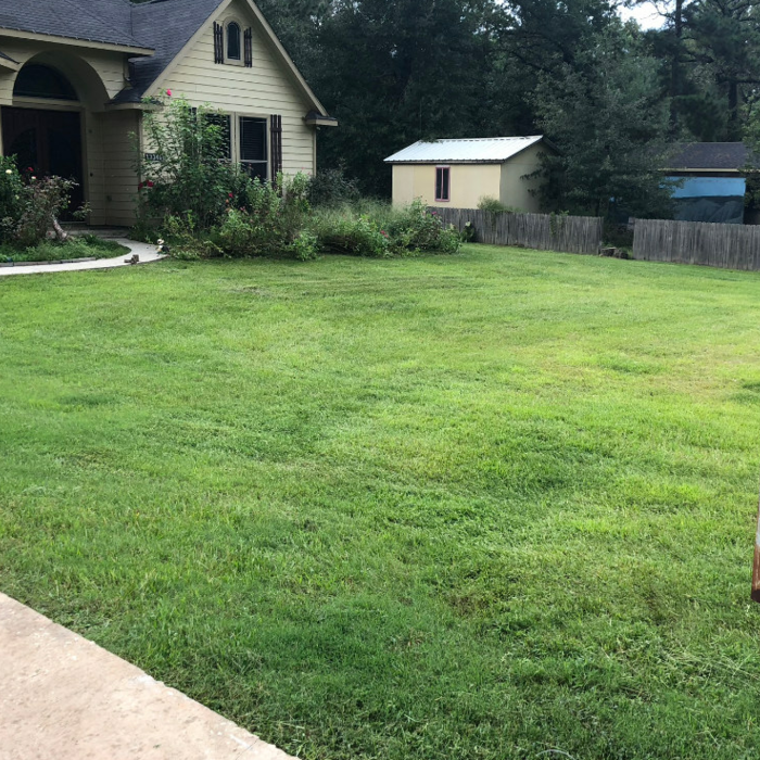 Lawn Care