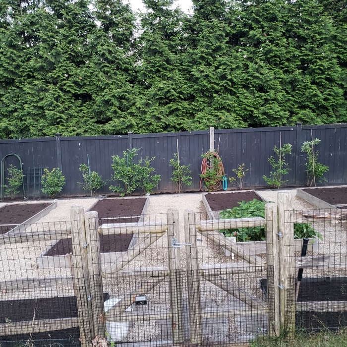 Garden beds clean up with pea stone