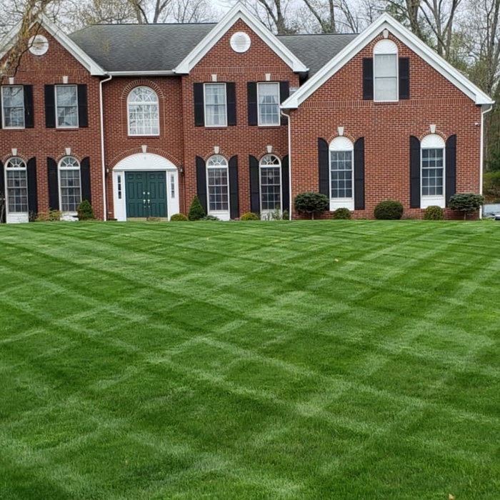 Grass mowing