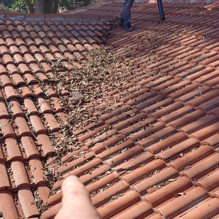 Northmen Roofing - Tile Roof Organic Debris Repai