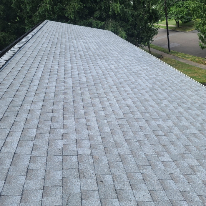 Roof Replacement