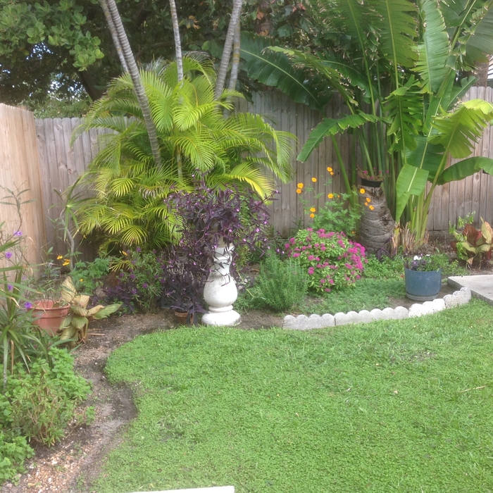 Finishing side bed to pool