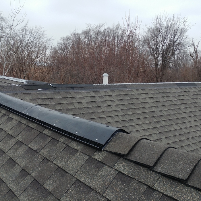 New Shingles