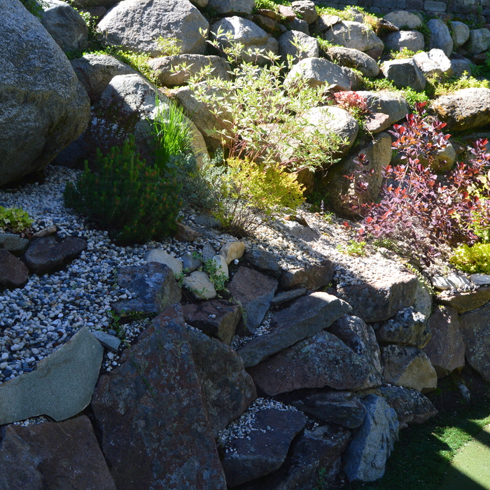 Landscape Design