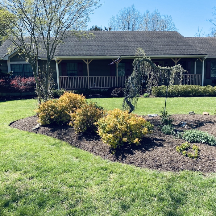 Spring Clean Up