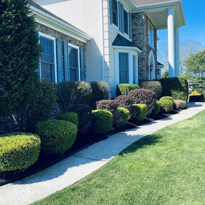 Spring Clean Up
