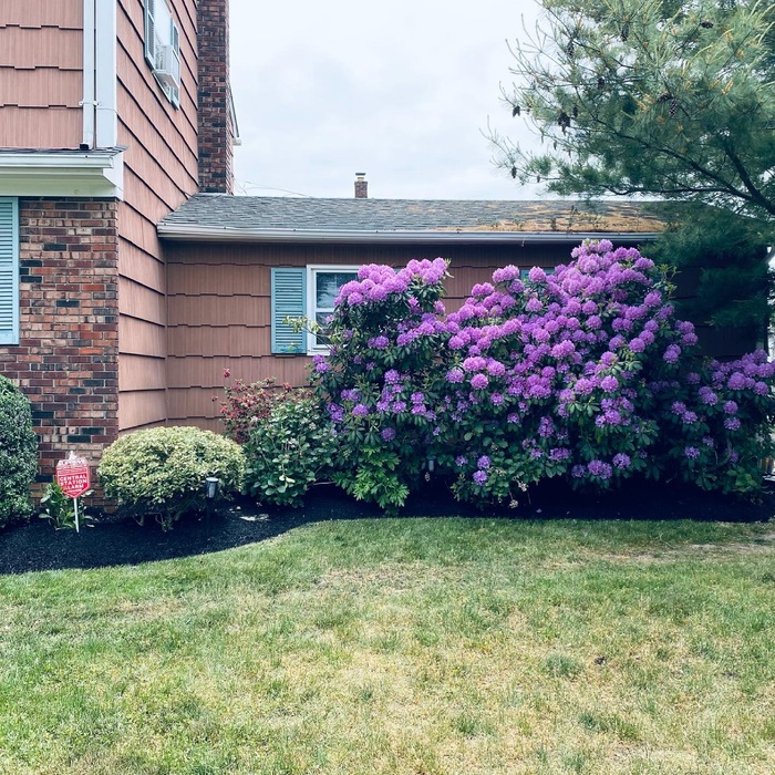 Spring Clean Up