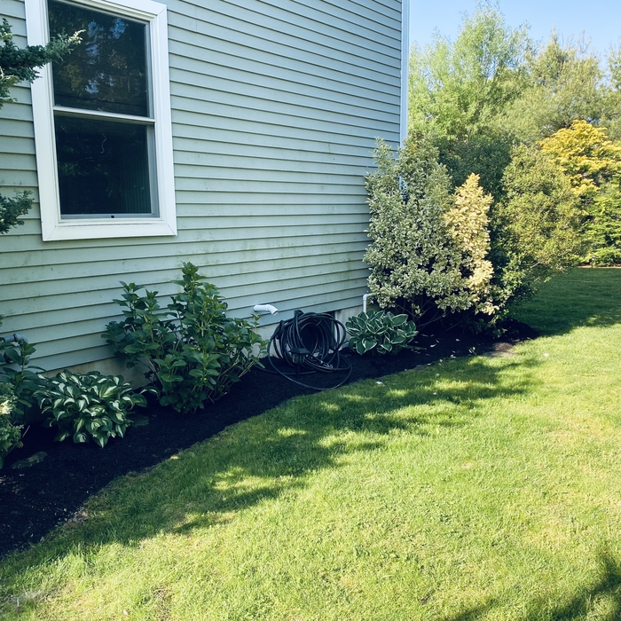 Spring Clean Up