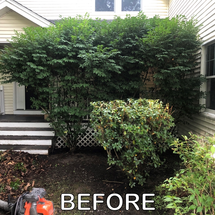 Home Landscaping