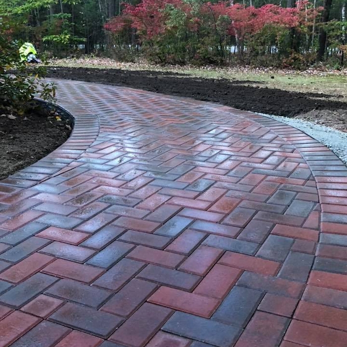 Walkway and Patio
