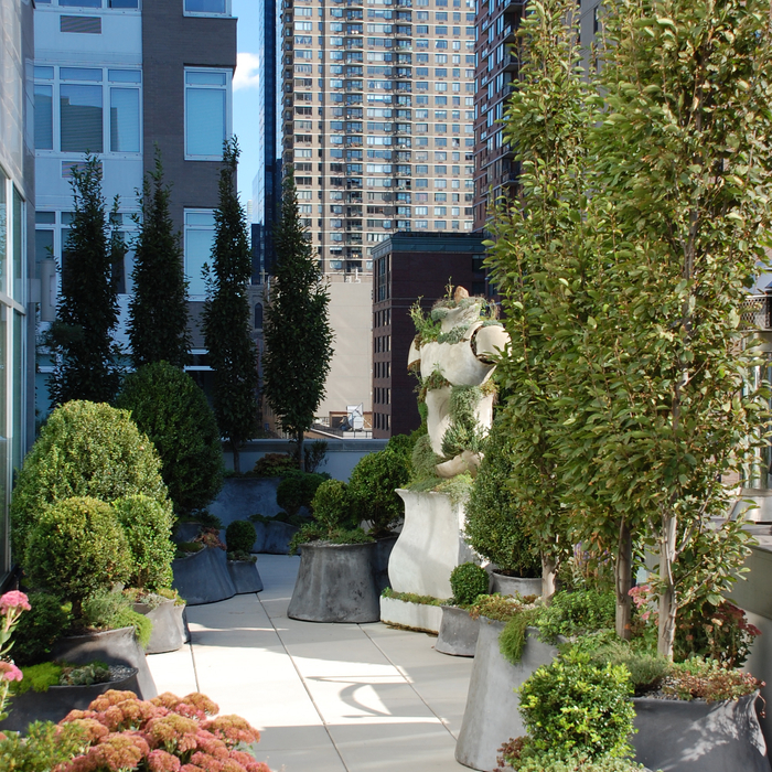 Urban Terrace