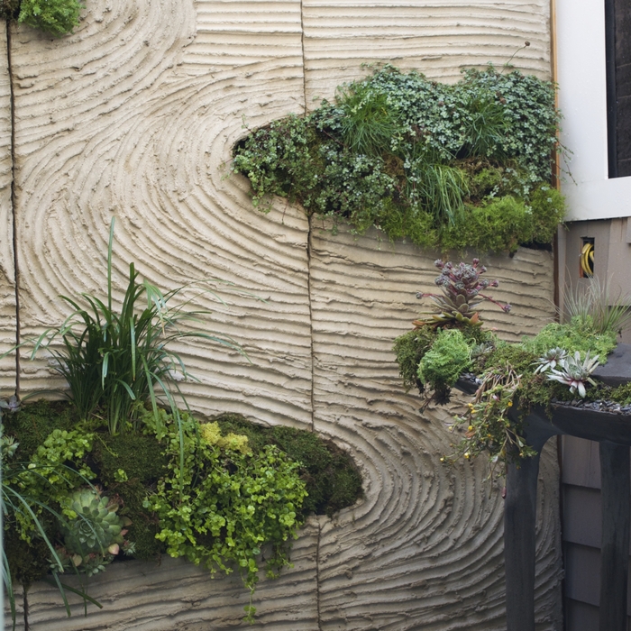 Sculptural Outdoor Greenwall With Live Plants