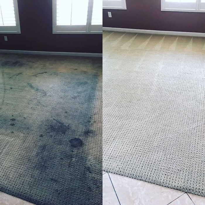 Carpet Clean
