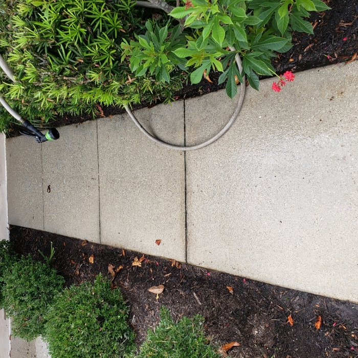 Pressure Wash