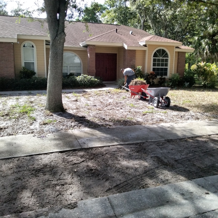 Sod preparation