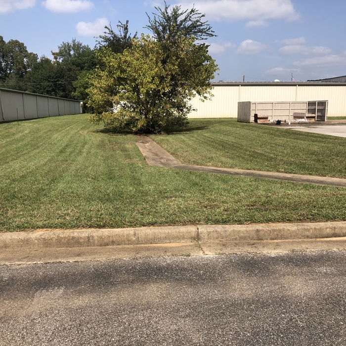 After photo of the 6 months of overgrowth.