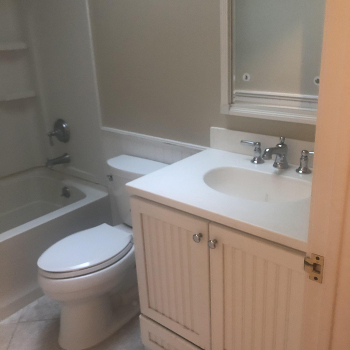 Hall Bathroom