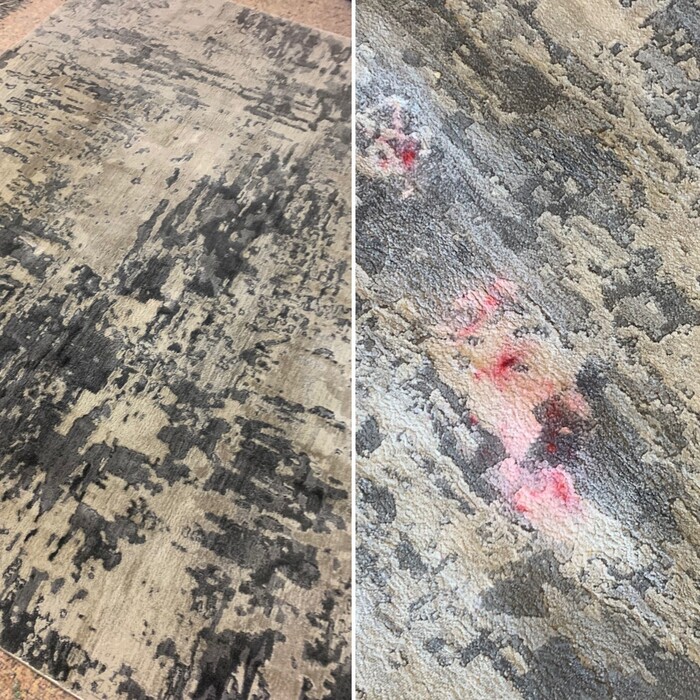 Success! Stain Removal Teatment