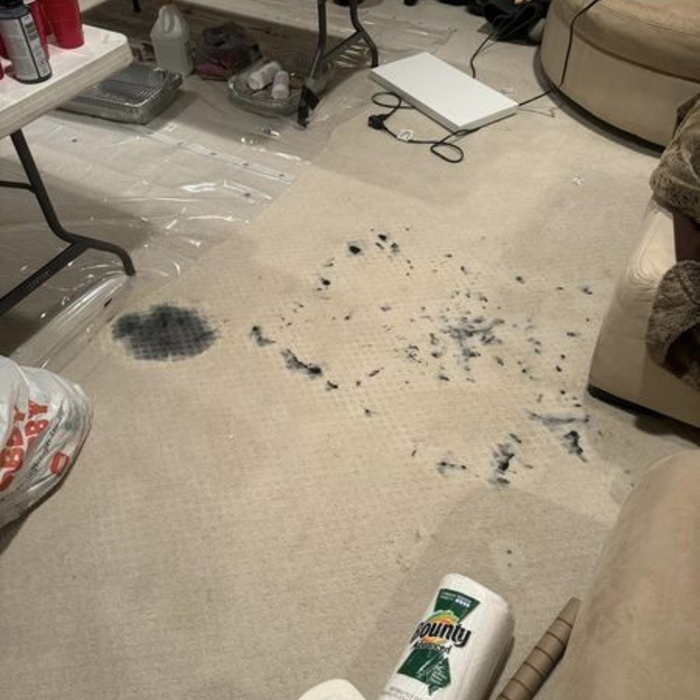 Before Photo - Paint Removal