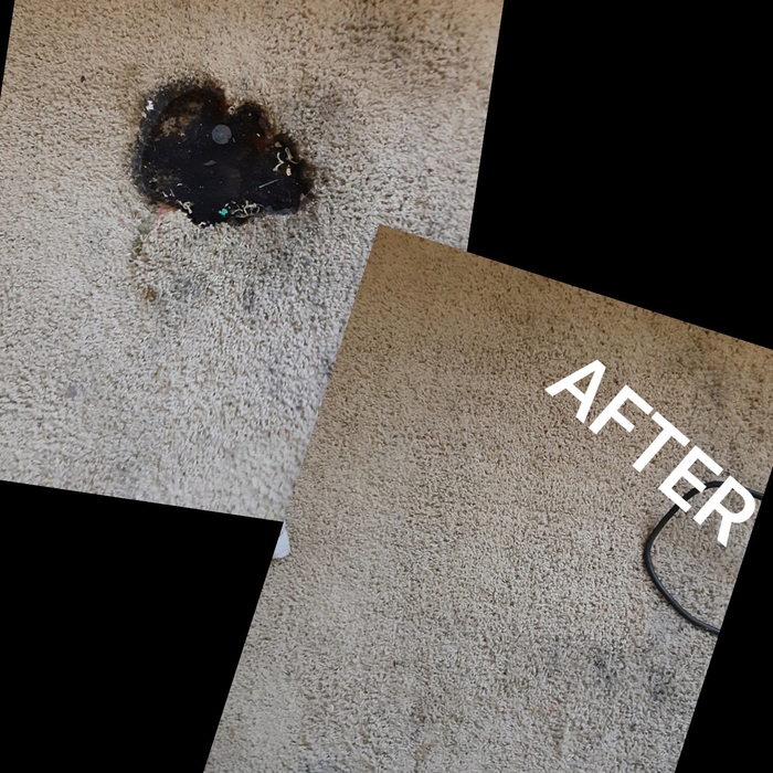 Amazing Carpet Patch