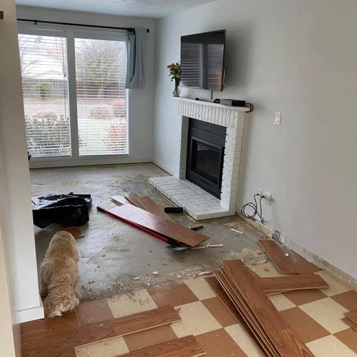 Kitchen and living room w/pup
