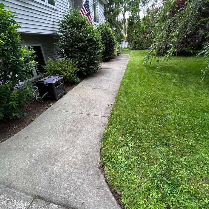 Uneven Sidewalk and Unsealed joints