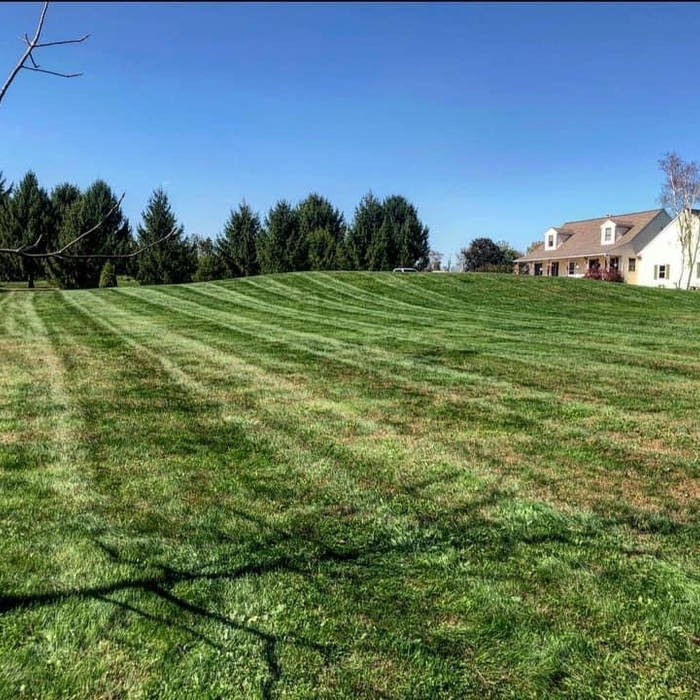 Mowing