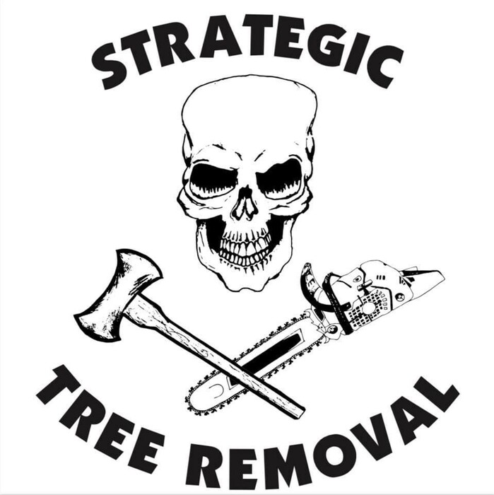 Strategic Tree Removal