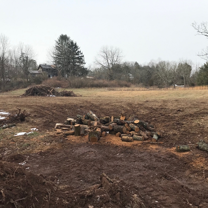 Cleared field and established a lane