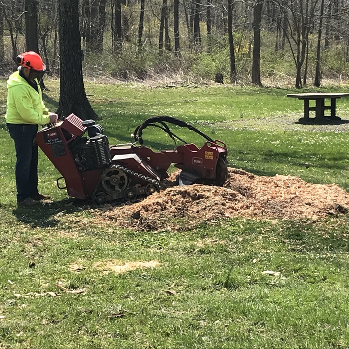 Tree felling and grinding stumps