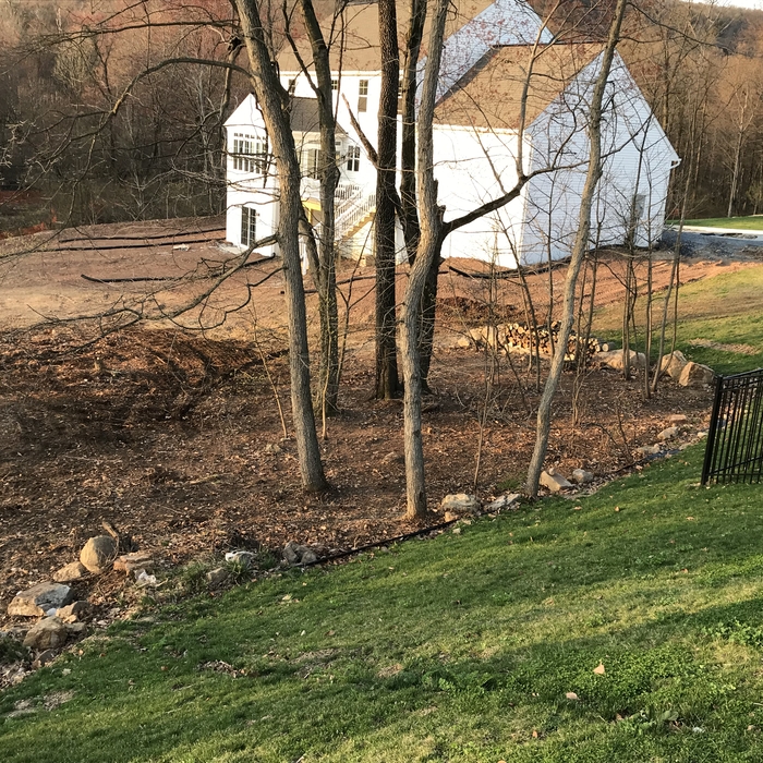 Land Beautification