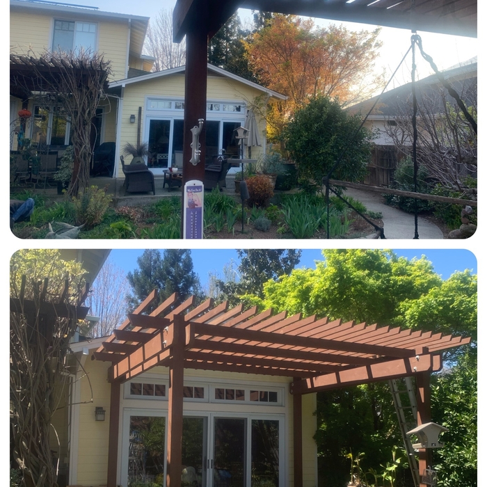 Custom Cedar Pergola