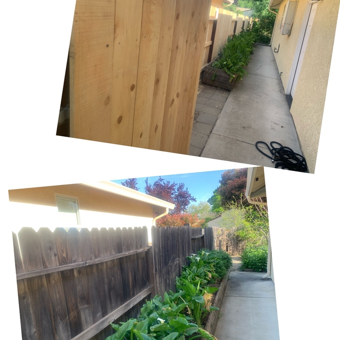 Pressure Treated Fence