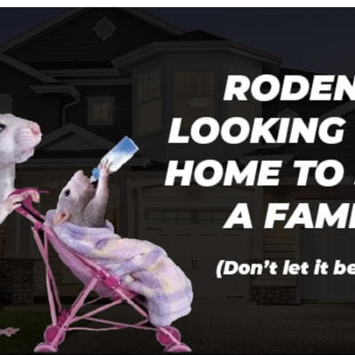 SAY NO TO MICE IN MASS AND NH