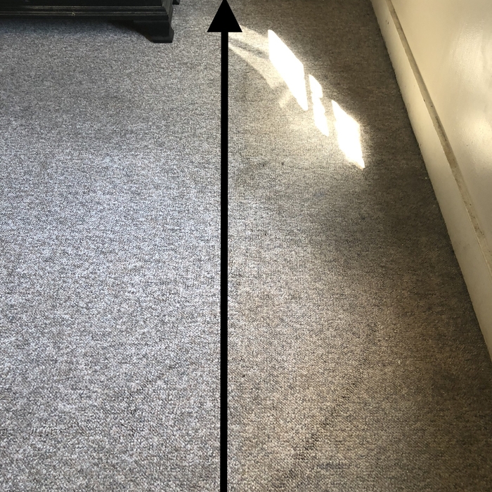 Basic Cleaning