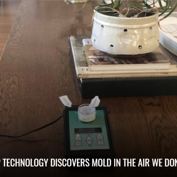 Mold in the air