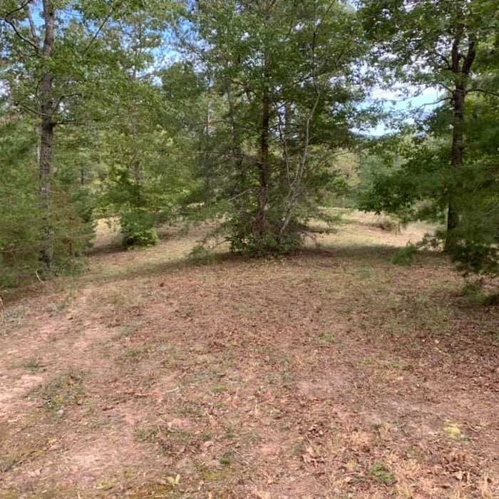 Open Land