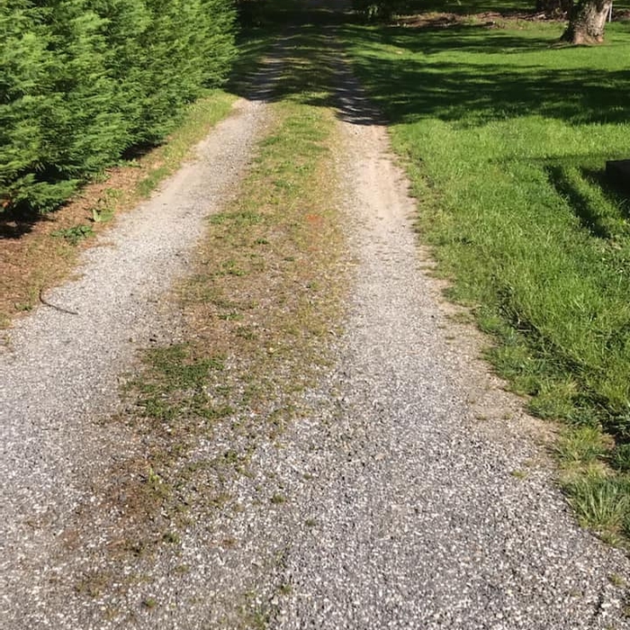 Driveway regrading no gravel