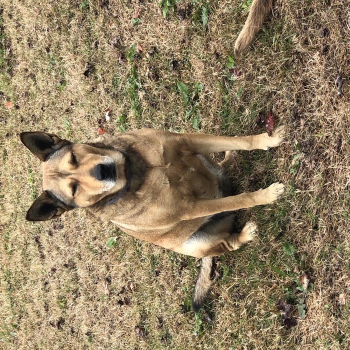 Ruby