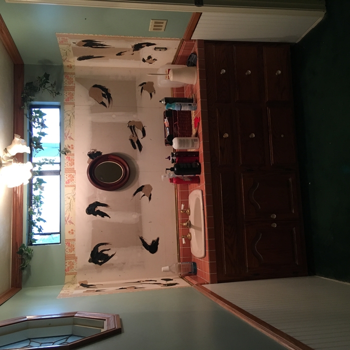 Before vanity wall