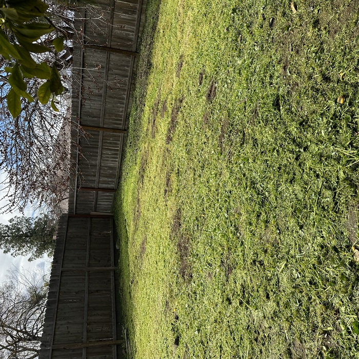 BackYard - After