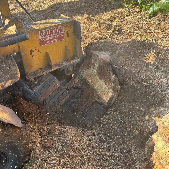 Stump Grinding